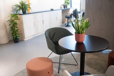 Nachhaltiger Ausbau Showroom Tholl Consulting am Euref Campus Düsseldorf - © Tholl GmbH