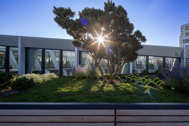 ONE PLAZA Düsseldorf - © HPP Architekten / MOMENI Gruppe, Foto: Ralph Richter