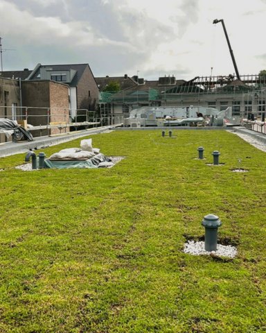 Düsseldorf Thomas Schule Ausbau - © Tholl GmbH