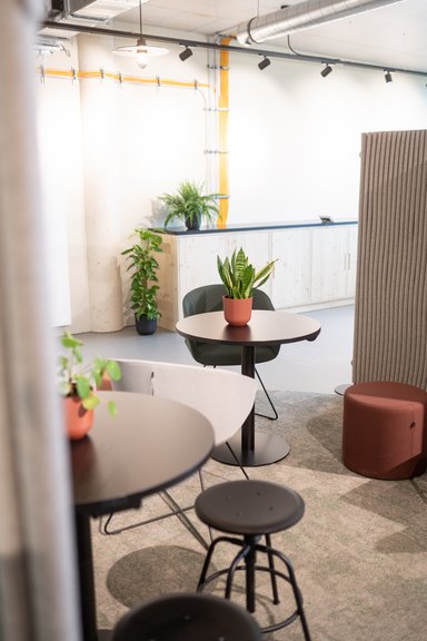 Nachhaltiger Ausbau Showroom Tholl Consulting am Euref Campus Düsseldorf - © Tholl GmbH